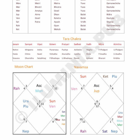 ILUMINAPublications_VedicAstralReport_SAMPLE_Page_004 ILUMINAPublications_VedicAstralReport_SAMPLE_Page_004