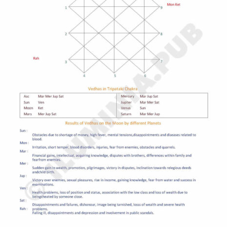 ILUMINAPublications_VedicAstralReport_SAMPLE_Page_091 ILUMINAPublications_VedicAstralReport_SAMPLE_Page_091