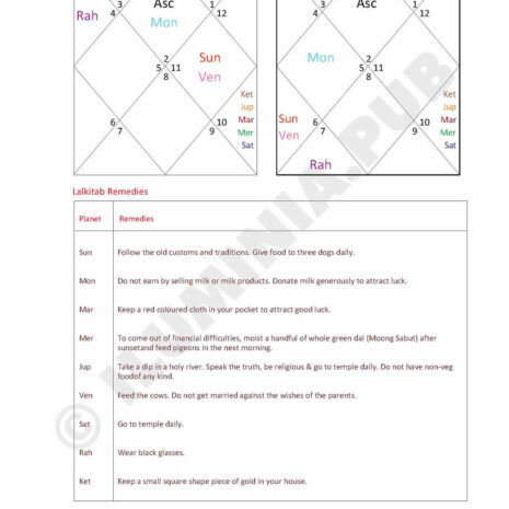 ILUMINAPublications_VedicAstralReport_SAMPLE_Page_113 ILUMINAPublications_VedicAstralReport_SAMPLE_Page_113