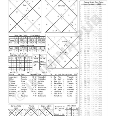 VedicHoroscopeReading_Model-JoeBiden_Page_03 VedicHoroscopeReading_Model-JoeBiden_Page_03