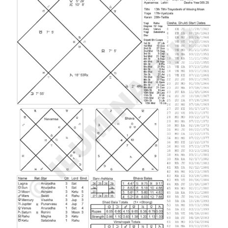 VedicHoroscopeReading_Model-JoeBiden_Page_04 VedicHoroscopeReading_Model-JoeBiden_Page_04