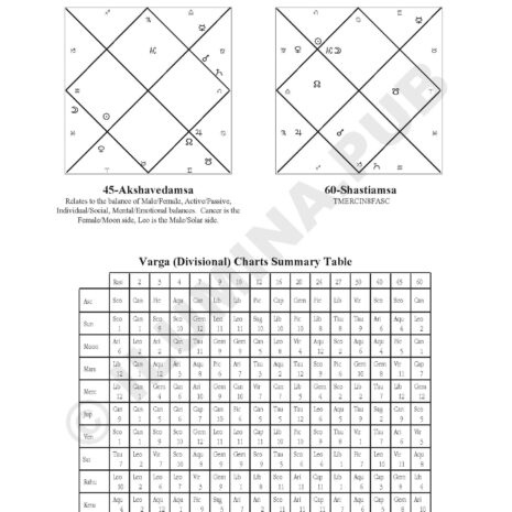 VedicHoroscopeReading_Model-JoeBiden_Page_09 VedicHoroscopeReading_Model-JoeBiden_Page_09
