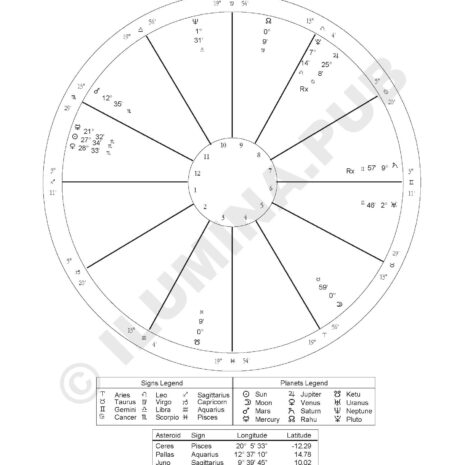 VedicHoroscopeReading_Model-JoeBiden_Page_10 VedicHoroscopeReading_Model-JoeBiden_Page_10