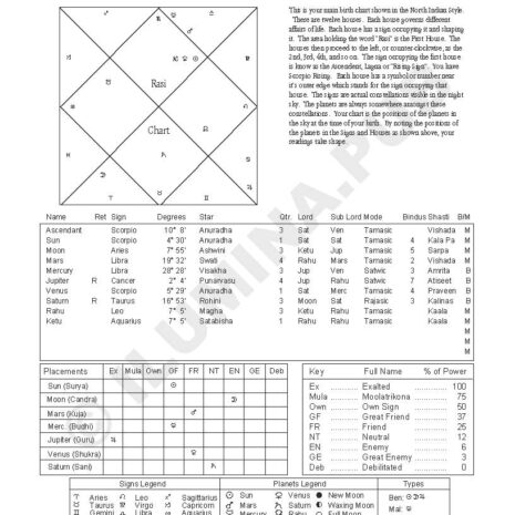 VedicHoroscopeReading_Model-JoeBiden_Page_11 VedicHoroscopeReading_Model-JoeBiden_Page_11