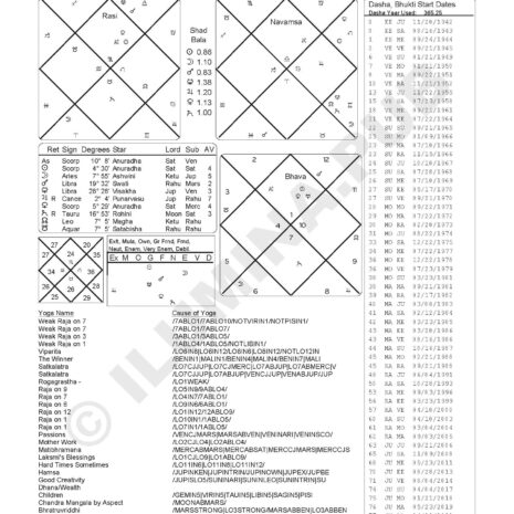 VedicHoroscopeReading_Model-JoeBiden_Page_12 VedicHoroscopeReading_Model-JoeBiden_Page_12