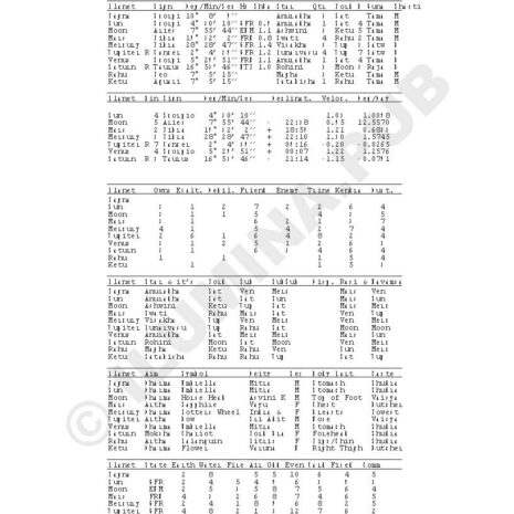 VedicHoroscopeReading_Model-JoeBiden_Page_20 VedicHoroscopeReading_Model-JoeBiden_Page_20