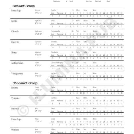 VedicHoroscopeReading_Model-JoeBiden_Page_22 VedicHoroscopeReading_Model-JoeBiden_Page_22