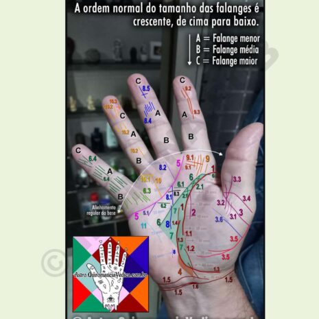 Manual Completo em Quiromancia Védica - Página 713 Manual Completo em Quiromancia Védica - Página 713