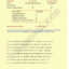 Vedic Numerology Report - Page 04